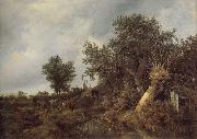 Landscape with a cottage and trees Jacob van Ruisdael